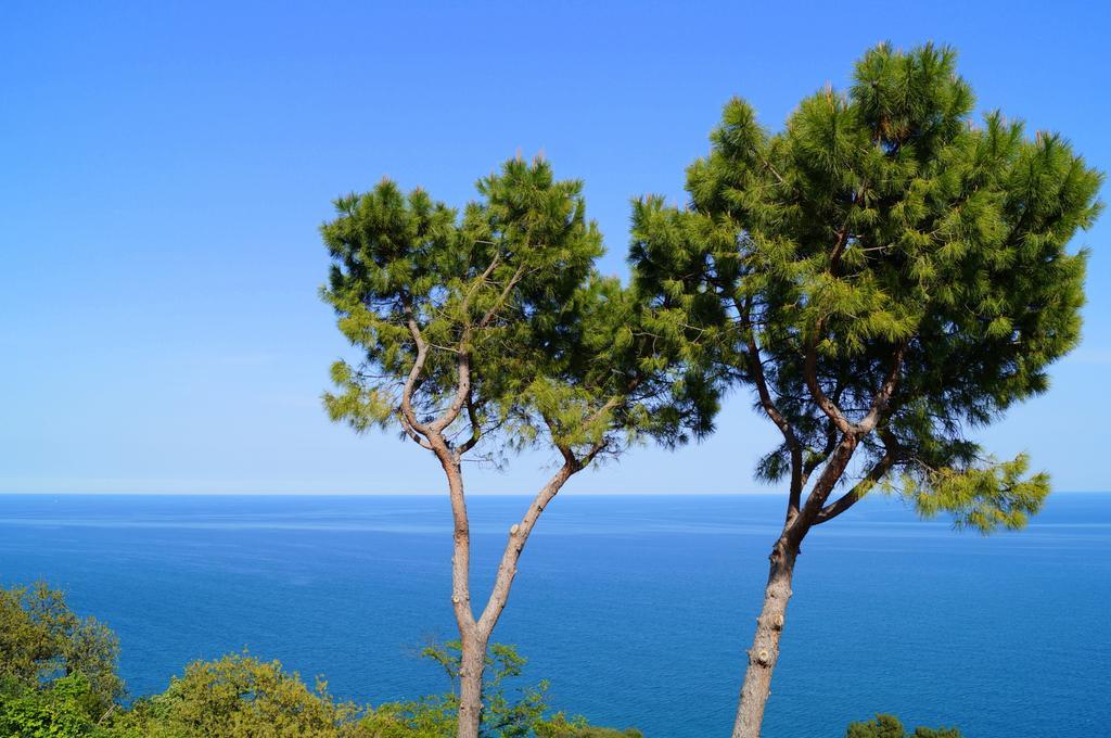 Sea View Sirolo Di Amedeo Bed and Breakfast Eksteriør billede